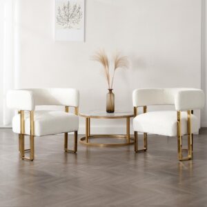 Juego de 2 sillas decorativas modernas