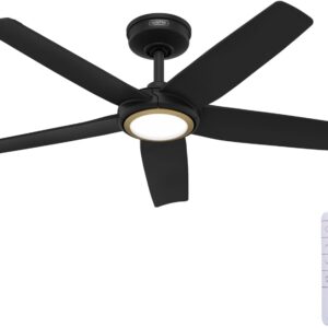 Hunter Ventilador de Techo 44" con Luz Control Remoto Interior/Exterior Negro Mate