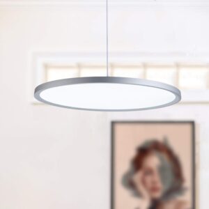 MADEM Lámpara Colgante Moderna LED Plateado 23.6''