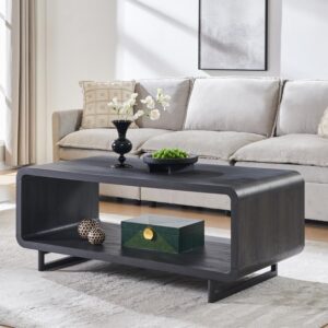 IFGET Mesa de Centro Moderna de 48", Mesa Central Minimalista de 2 Niveles con Estante