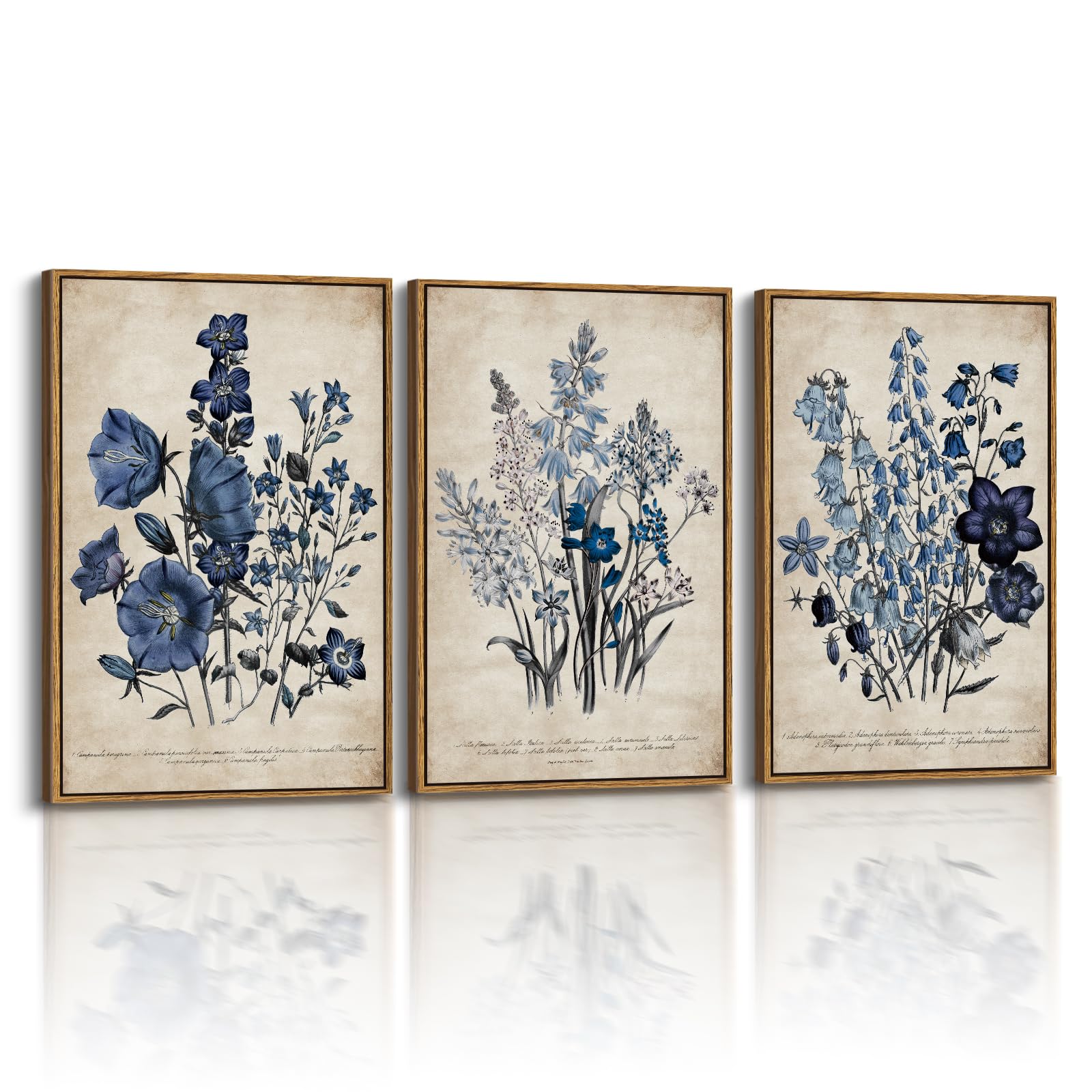 InSimSea Arte botánico vintage de gran tamaño, imagen azul, 3 piezas, 16 x