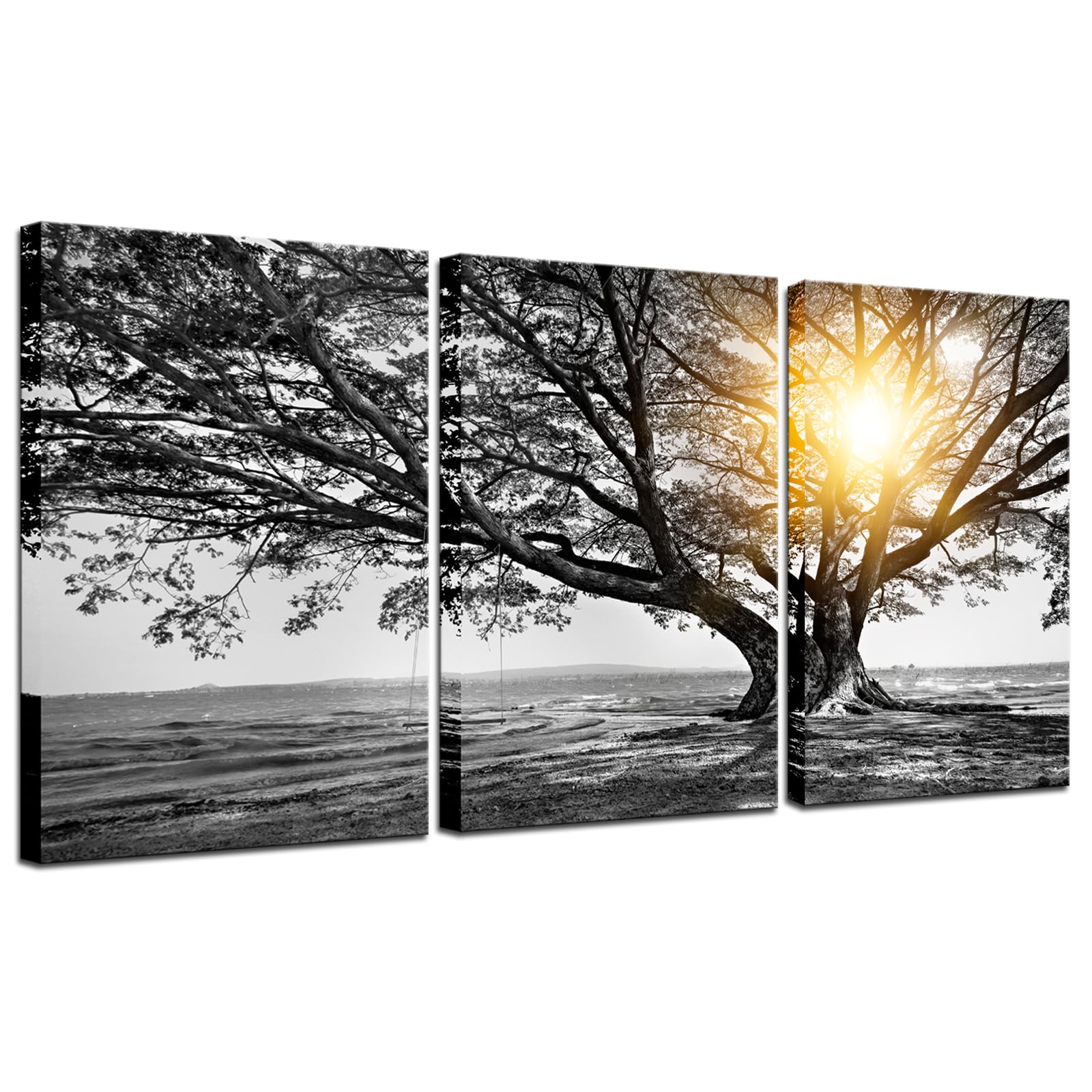 Biuteawal Arte de pared de 3 piezas de árbol blanco y negro al amanecer cálido paisaje